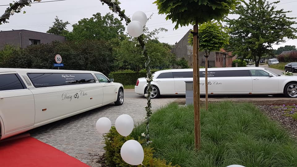 Gepersonaliseerde witte limousines